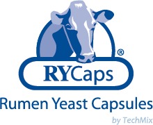 RY Caps_by TechMix_Intrnl (6)